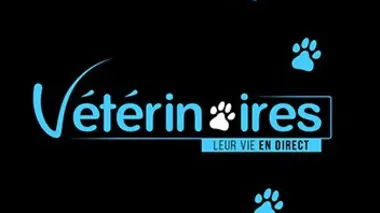 Il faut sauver la petite chienne Havane