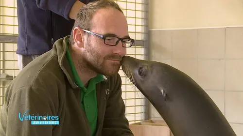 Vétérinaires, leur vie en direct E21