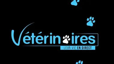 Vétérinaires, leur vie en direct Baptiste et le bébé panthère