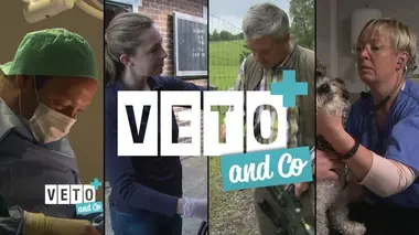 Véto & Co