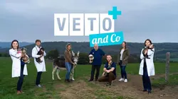 Véto & Co