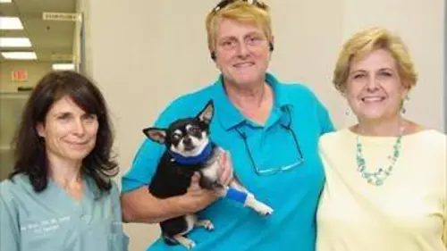 Vétos : soigner sans compter