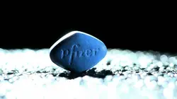 Viagra, l'érection à tout prix