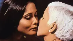 Visuel de Vicieuse et perverse