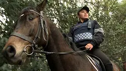 Visuel de Victoires cavalières