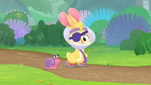 Vida la véto S01E12 Zigzag et son guide