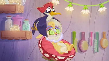Pas de repos pour Zigzag