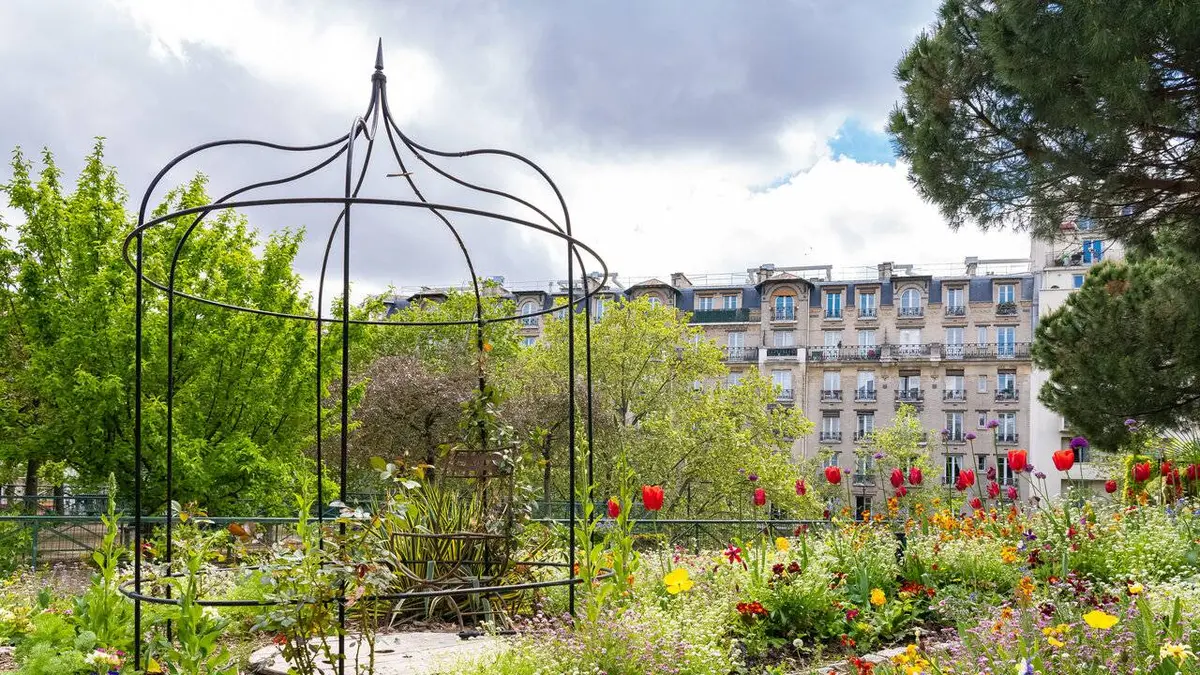 Vidéosurveillance : les images choc Du Champ-du-Boult à Rhodes Island