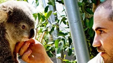 Vie sauvage à Taronga