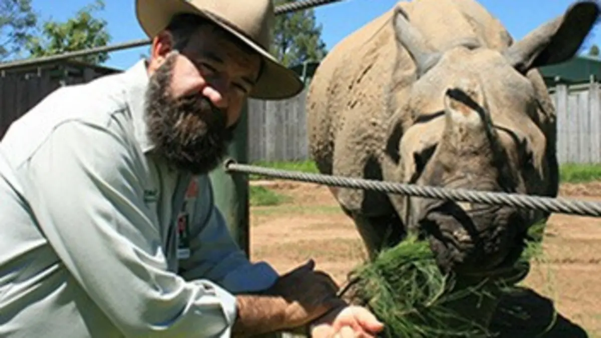 Vie sauvage à Taronga