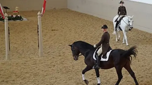 Vienne, valses équestres