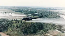 Vietnam, la naissance d'une nation