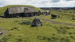 Vikings : La saga des Bluetooth Harald à la Dent bleue, le viking chrétien