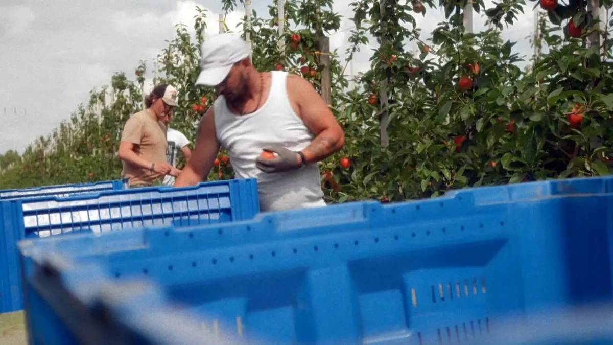 Village X Le food activiste et les fruiticulteurs