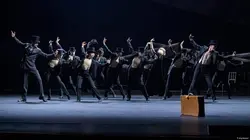 Vilvanden - Le Canard sauvage