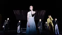 Vilvanden - Le Canard sauvage