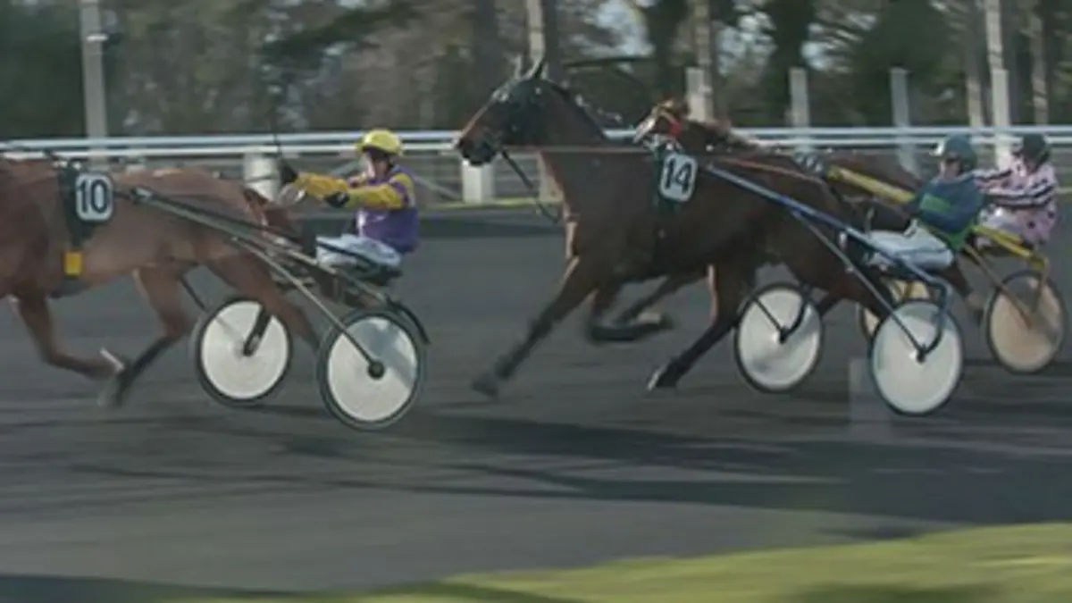 Vincennes, un hiver aux courses