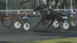 Visuel de Vincennes, un hiver aux courses