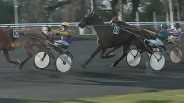 Vincennes, un hiver aux courses