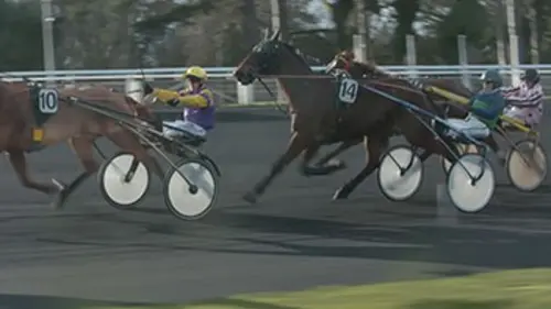 Vincennes, un hiver aux courses