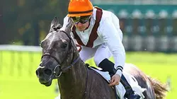 Sur Equidia à 23h00 : Vincent Cheminaud, au grand galop