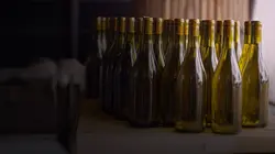 Vins bretons, la nouvelle conquête de l'ouest