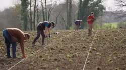 Sur France 3 à 22h55 : Vins bretons, la nouvelle conquête de l'ouest