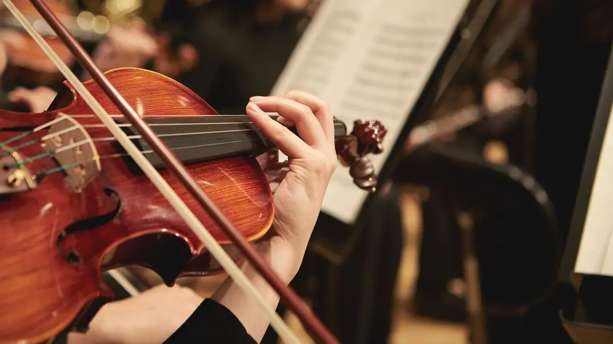 Violin Concerto in D major "Grosso Mogul" | Allegro