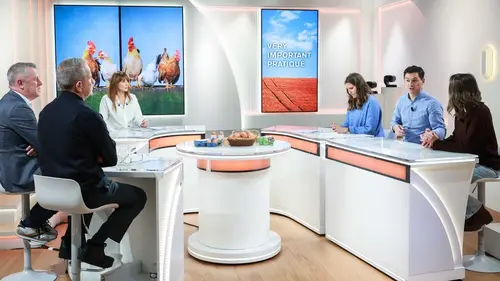 VIP - Very Important Paysan Les oeufs, chouchous des consommateurs Français