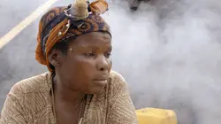 Virunga, les gorilles en péril