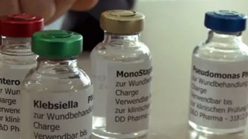 Virus contre bactéries