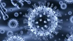 Virus : la menace invisible