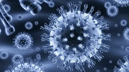 Virus : la menace invisible S01E01 La variole