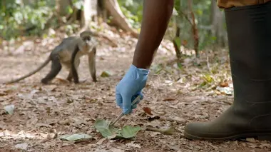 Virus : la menace invisible S01E03 Ebola