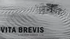 Vita Brevis