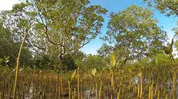 Visuel de Vitesse mortelle dans la lagune