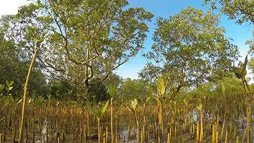 Vitesse mortelle dans la lagune