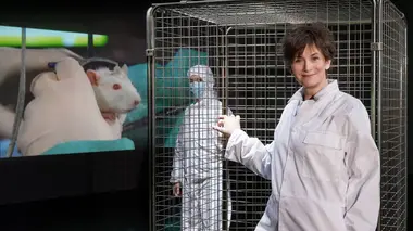 Philippe Chevrier : devenir cochon