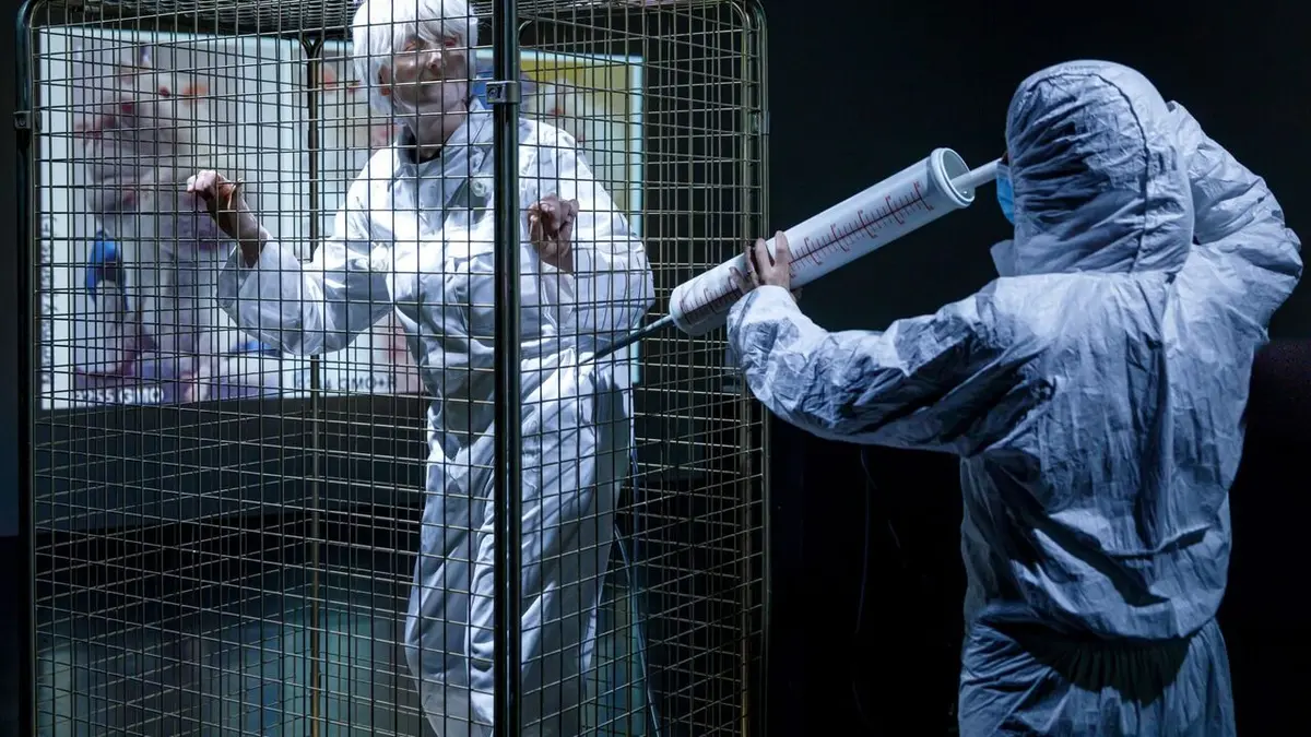 Vivants Tania Chytil : devenir rat