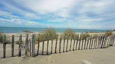 En Camargue, le rendez-vous des familles