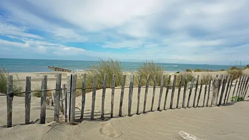 Vive le camping En Camargue, le rendez-vous des familles