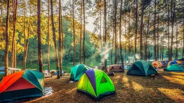 Charente-Maritime : un camping entre océan et nature