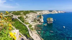 Vive le camping Un coin de paradis à Calvi