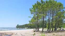 Vive le camping Camping de rêve dans les Landes