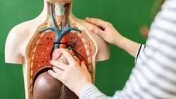 Vive les microbes !