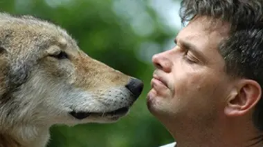 Quand les loups font leur cinéma