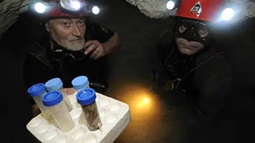 Vivre en enfer E04 Créatures du noir