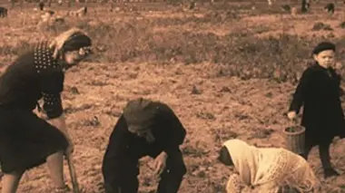 Vivre en temps de guerre L'occupation