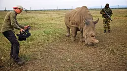 Vivre le long de l'équateur