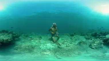 Rêver sous l'équateur